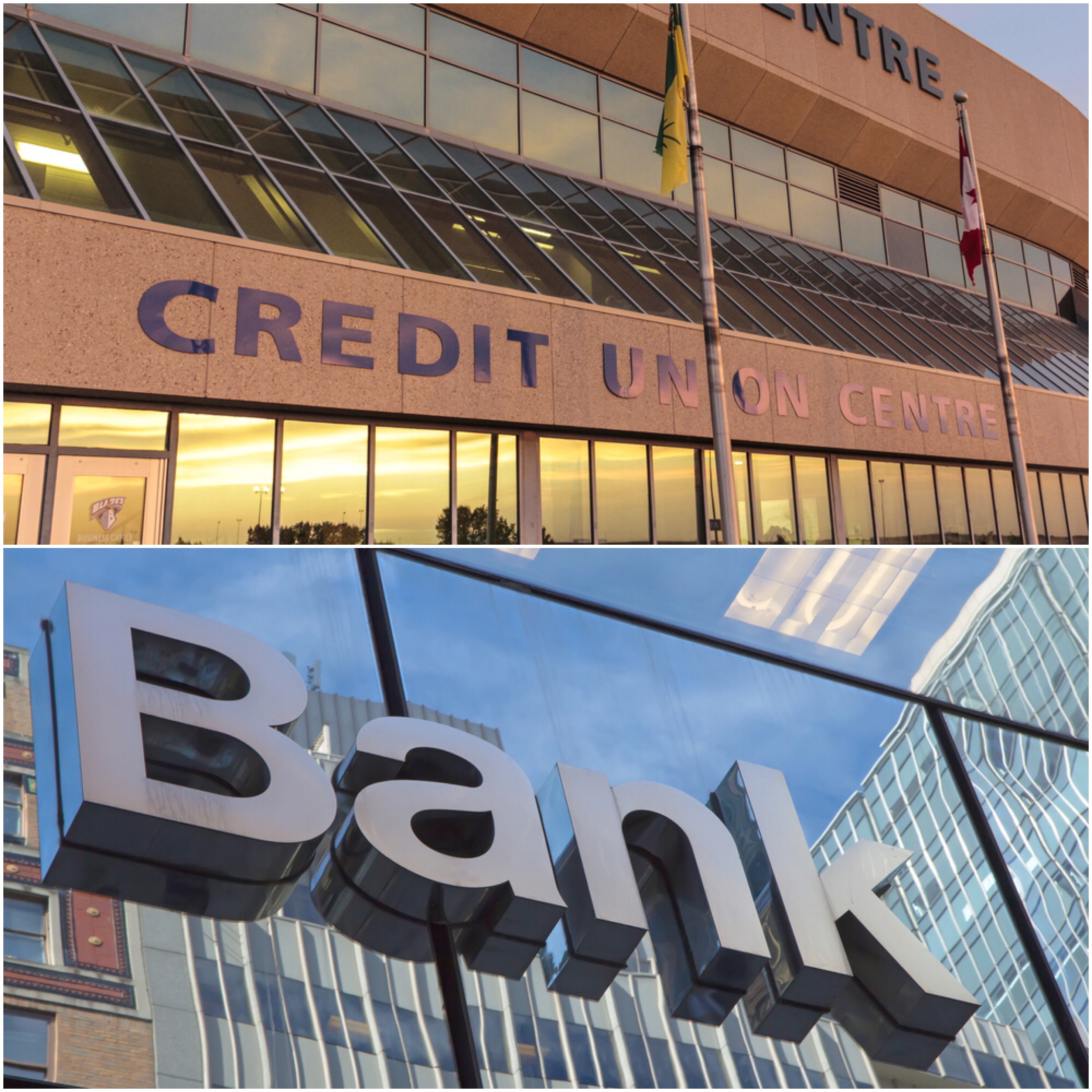 The Term Bank And Credit Union