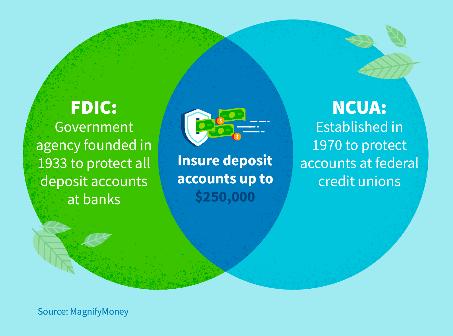 FDIC: Government agency founded in 1933 to protect all deposit accounts at banks. NCUA: Established in 1970 to protect accounts at federal credit unions.