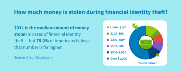 How much money is stolen during financial identity theft?