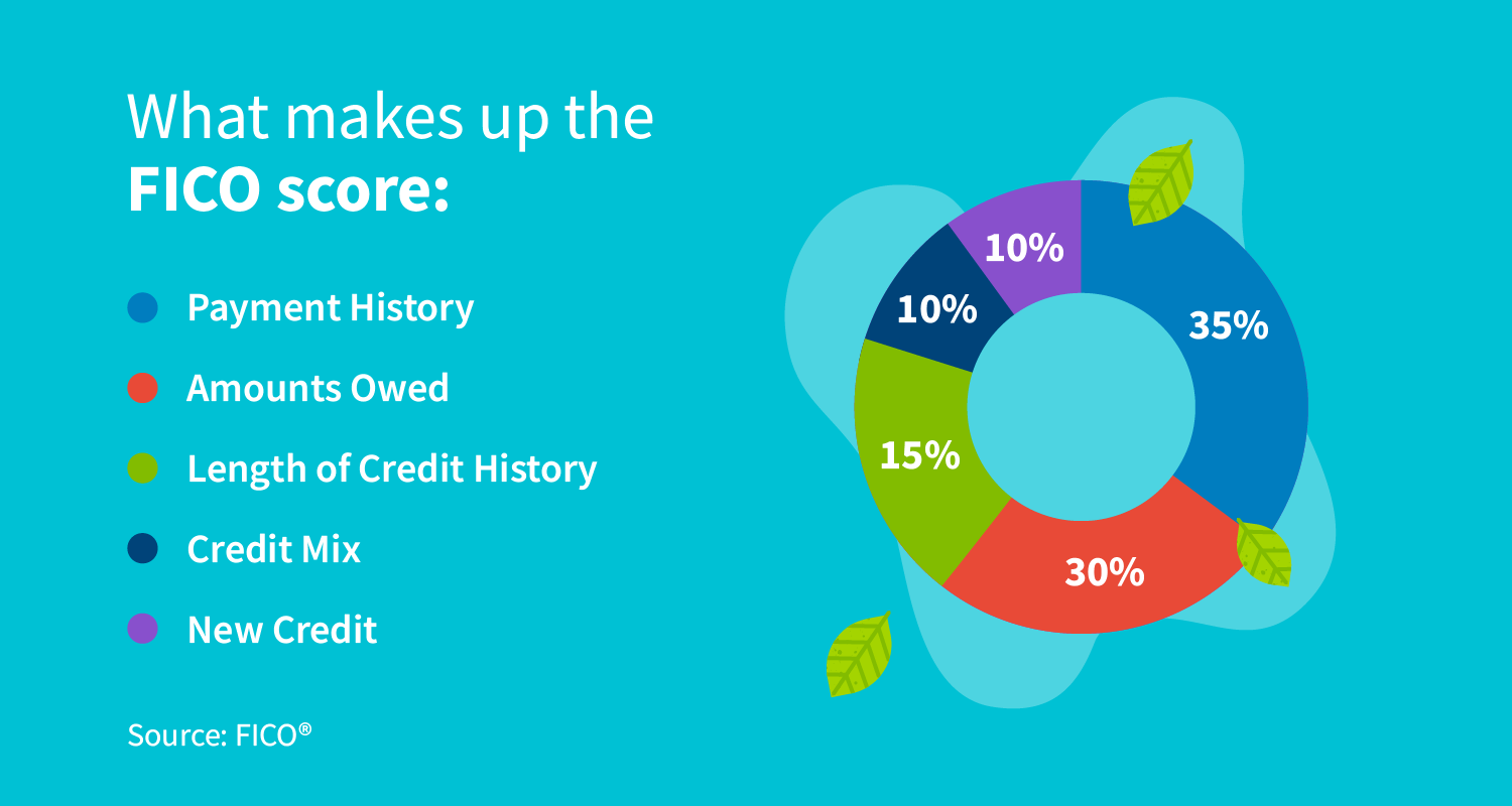 What makes up FICO score