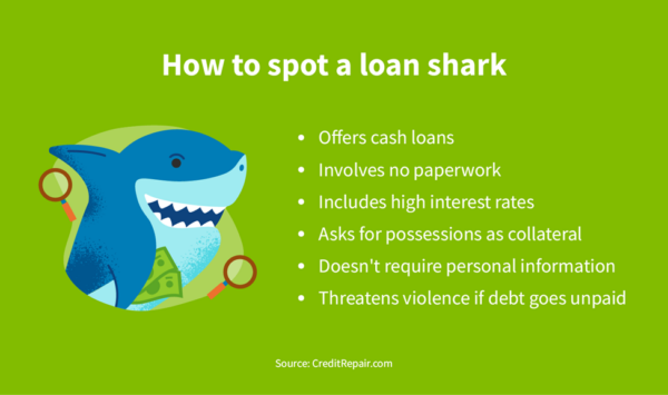 How to spot a loan shark