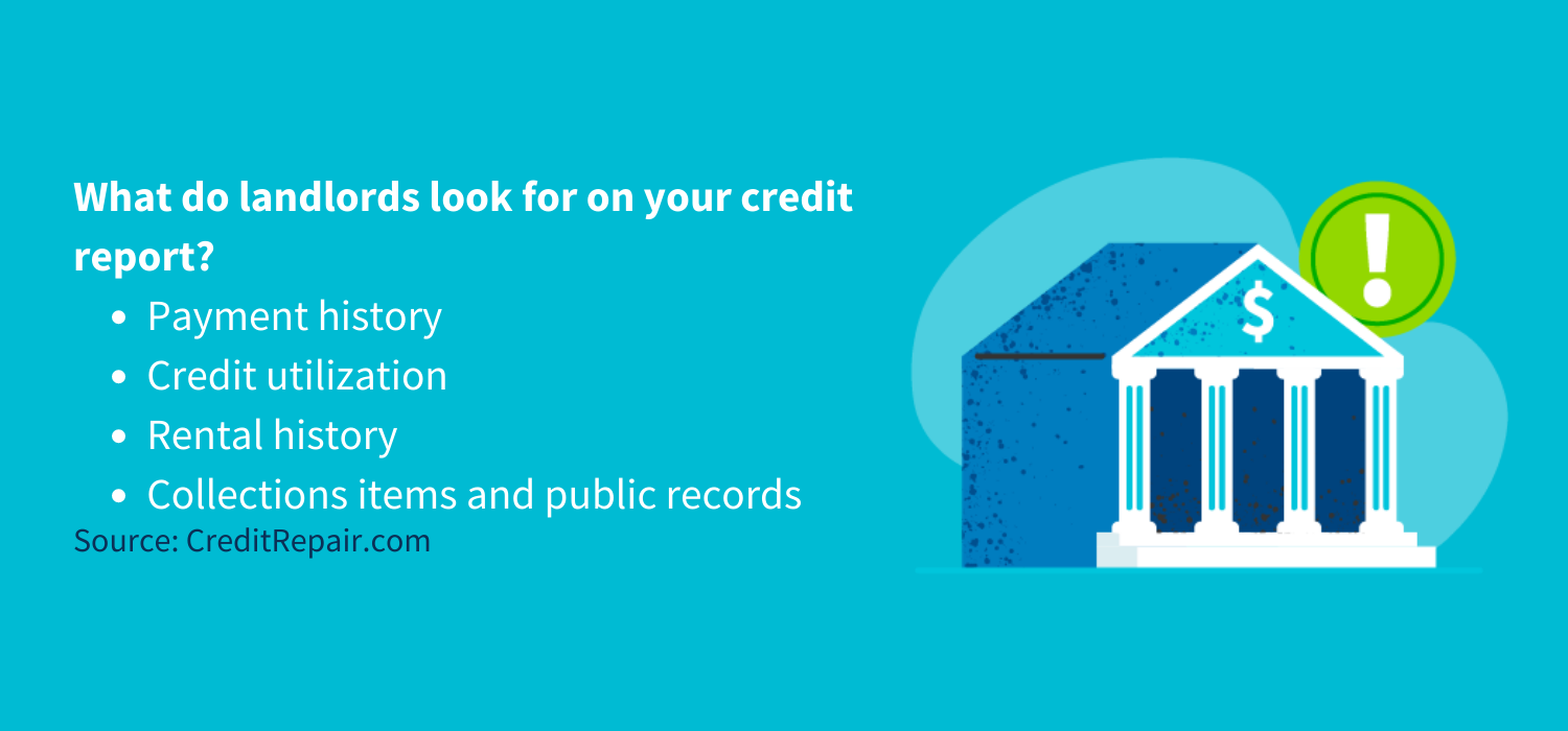 What do landlords look for on your credit report?