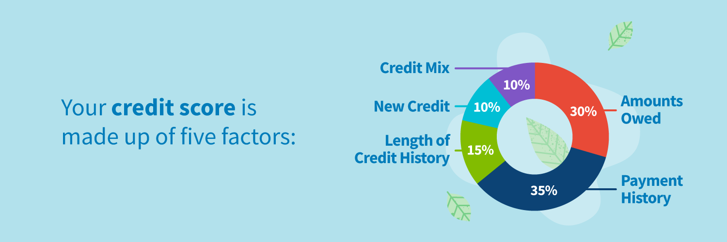Understanding credit factors