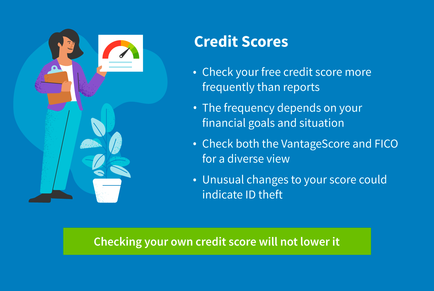 check a credit score